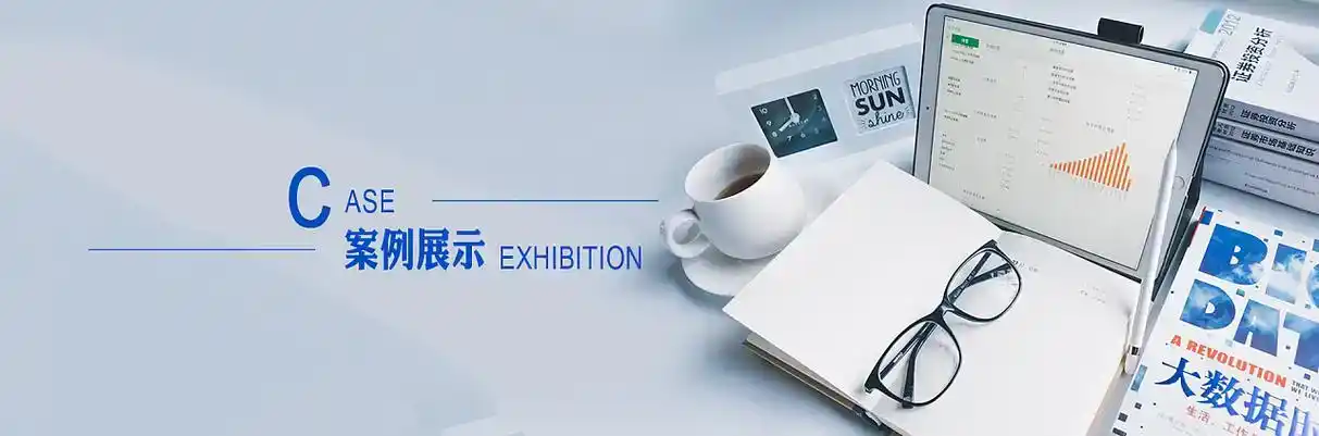 漳县软件开发